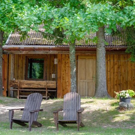 Holiday House With Sauna سيسيس المظهر الخارجي الصورة